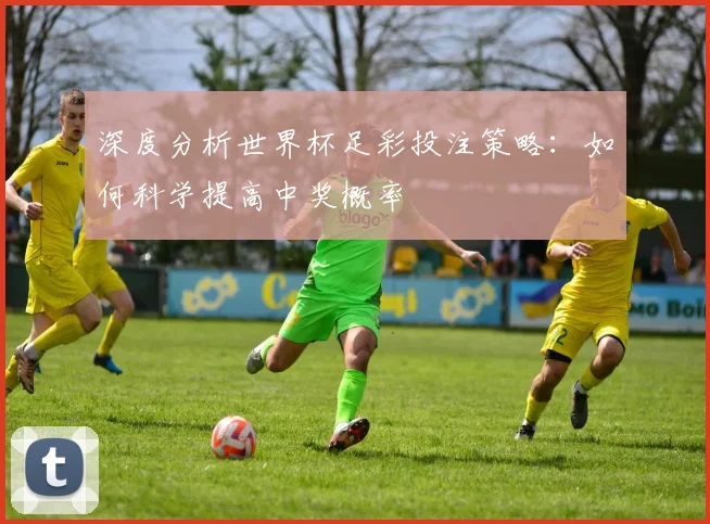 深度分析世界杯足彩投注策略：如何科学提高中奖概率