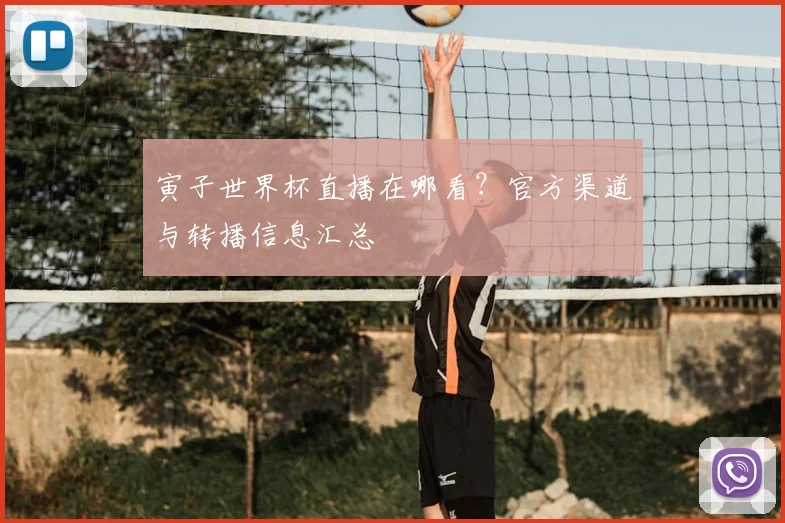 寅子世界杯直播在哪看？官方渠道与转播信息汇总
