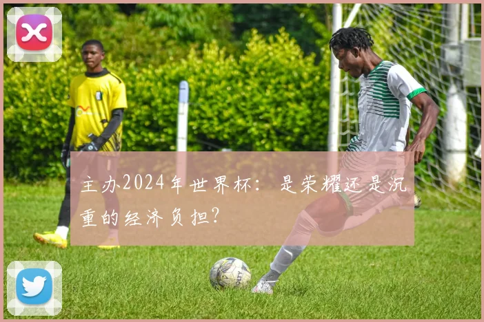 主办2024年世界杯:是荣耀还是沉重的经济负担?