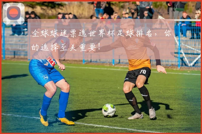 全球球迷票选世界杯足球排名，你的选择至关重要！