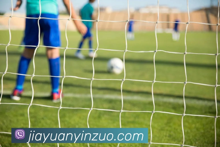 开云线上登录平台入口APP 封面图