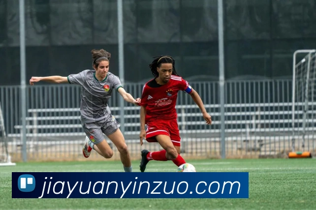 数据防护可视化